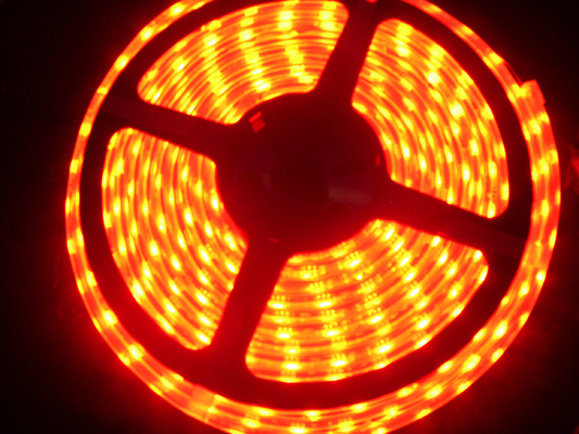 IP65 / IP66 / IP68  5000 * 10 mm 5050 SMD IP66 Flexible Led Strip Lights